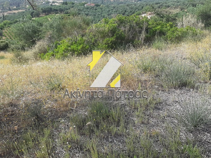 Οικόπεδο 432 τ.μ. πρός πώληση, Αχαΐα, Πάτρα