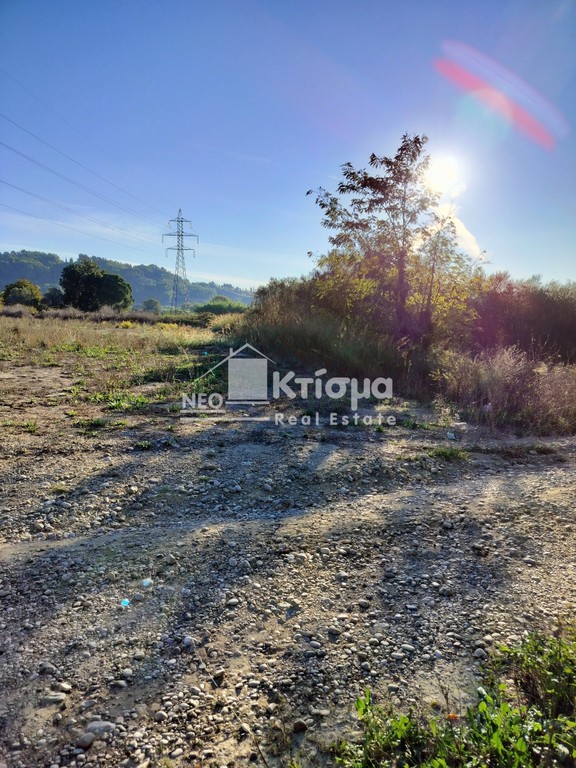 Οικόπεδο 5.000 τ.μ. προς πώληση, Παλαιοβαρβάσαινα