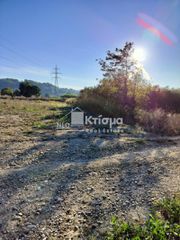 Οικόπεδο 5.000 τ.μ. προς πώληση, Παλαιοβαρβάσαινα-thumb-4