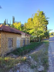 Οικόπεδο 5.000 τ.μ. προς πώληση, Παλαιοβαρβάσαινα-thumb-16