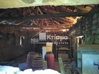 Οικόπεδο 5.000 τ.μ. προς πώληση, Παλαιοβαρβάσαινα-thumb-15