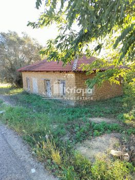 Οικόπεδο 5.000 τ.μ. για πώληση