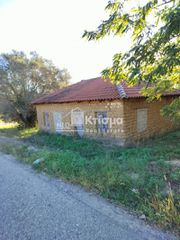 Οικόπεδο 5.000 τ.μ. προς πώληση, Παλαιοβαρβάσαινα-thumb-7