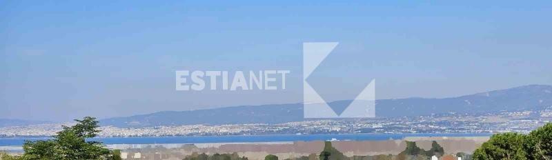 Αγροτεμάχια 15.597 τ.μ. προς πώληση, Πλαγιάρι Θέρμης