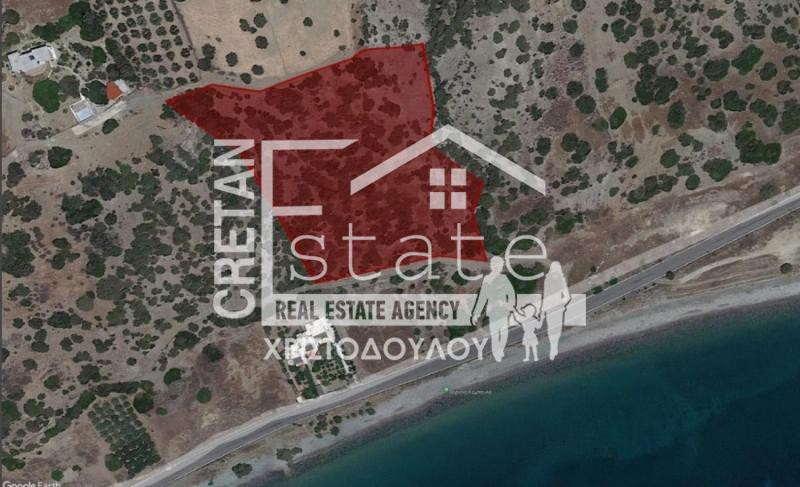 Αγροτεμάχια 9.800 τ.μ. προς πώληση, Ν. Ηρακλείου, Βιαννός