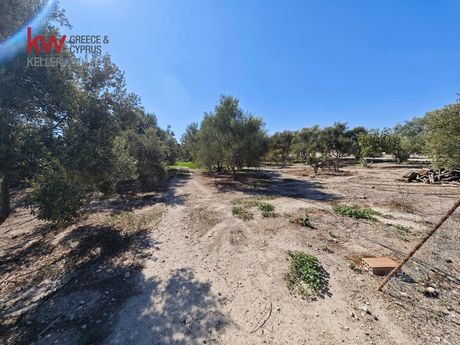 Αγροτεμάχια 2.973τ.μ. για πώληση-Αραδίππου