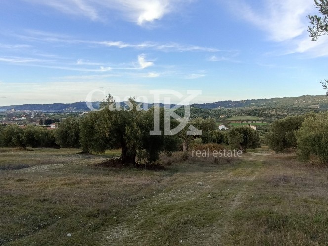 Αγροτεμάχια 17.700 τ.μ. πρός πώληση, Χαλκιδική, Κασσάνδρα