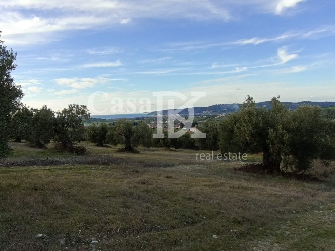 Αγροτεμάχια 17.700 τ.μ. πρός πώληση, Χαλκιδική, Κασσάνδρα