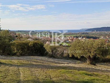 Parcel 17.700sqm for sale-Kassandra » Kalandra