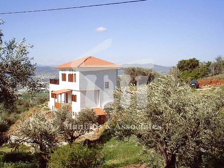 Detached home 264sqm for sale-Makrinitsa