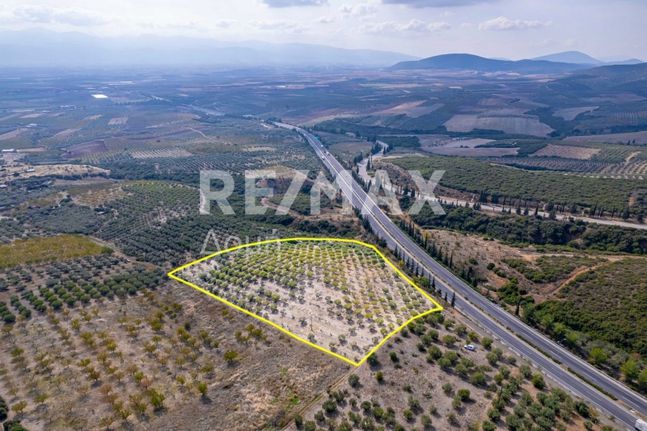 Αγροτεμάχια 18.425 τ.μ. για πώληση, Μαγνησία, Νέα Αγχίαλος