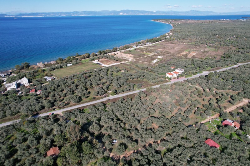 Αγροτεμάχια 1.373 τ.μ. προς πώληση, Σκάλα Σωτήρος