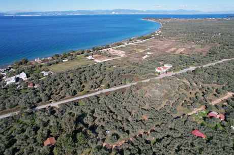 Αγροτεμάχια 1.373τ.μ. για πώληση-Θάσος » Σκάλα σωτήρος