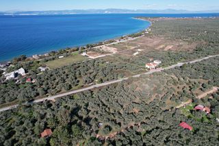 Αγροτεμάχια 1.373 τ.μ. για πώληση