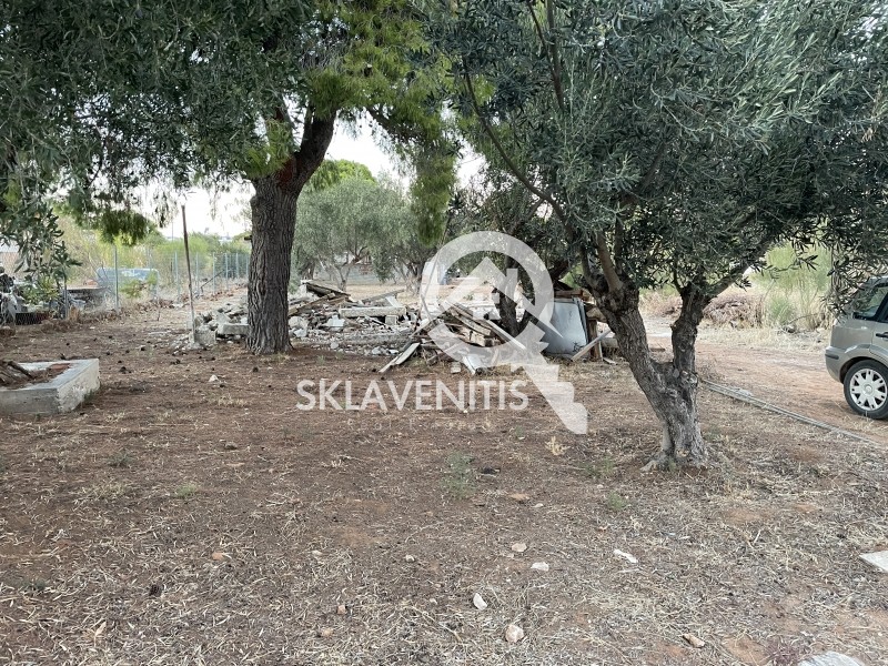 Οικόπεδο 410 τ.μ. πρός πώληση, Αθήνα - Ανατολικά Προάστια, Αρτέμιδα (λούτσα)