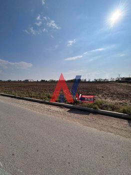 Land plot 3.000sqm for sale-Platikampos » Galini