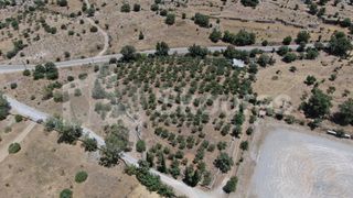 Οικόπεδο 6.843 τ.μ. για πώληση, Μεσσηνία, Λεύκτρος-thumb-1