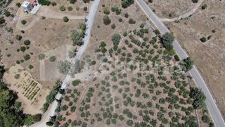 Οικόπεδο 6.843 τ.μ. για πώληση, Μεσσηνία, Λεύκτρος-thumb-7