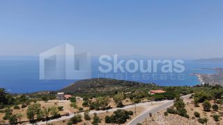 Οικόπεδο 6.843 τ.μ. για πώληση, Μεσσηνία, Λεύκτρος-thumb-12