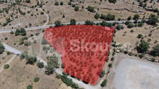 Οικόπεδο 6.843 τ.μ. για πώληση