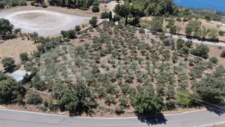 Οικόπεδο 6.843 τ.μ. για πώληση, Μεσσηνία, Λεύκτρος-thumb-13