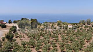 Οικόπεδο 6.843 τ.μ. για πώληση, Μεσσηνία, Λεύκτρος-thumb-3