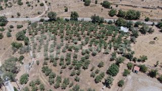 Οικόπεδο 6.843 τ.μ. για πώληση, Μεσσηνία, Λεύκτρος-thumb-20