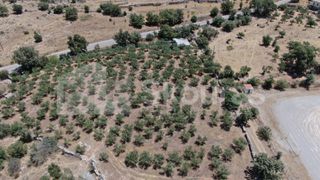 Οικόπεδο 6.843 τ.μ. για πώληση, Μεσσηνία, Λεύκτρος-thumb-21