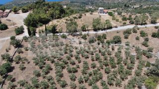 Οικόπεδο 6.843 τ.μ. για πώληση, Μεσσηνία, Λεύκτρος-thumb-18