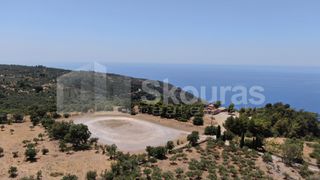 Οικόπεδο 6.843 τ.μ. για πώληση, Μεσσηνία, Λεύκτρος-thumb-14