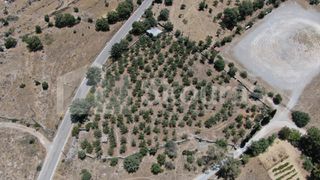 Οικόπεδο 6.843 τ.μ. για πώληση, Μεσσηνία, Λεύκτρος-thumb-6
