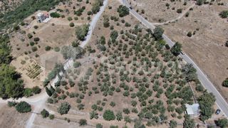 Οικόπεδο 6.843 τ.μ. για πώληση, Μεσσηνία, Λεύκτρος-thumb-8