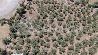 Οικόπεδο 6.843 τ.μ. για πώληση, Μεσσηνία, Λεύκτρος-thumb-17