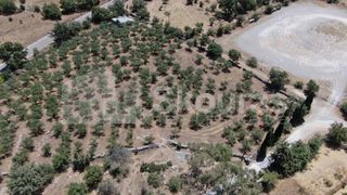 Οικόπεδο 6.843 τ.μ. για πώληση, Μεσσηνία, Λεύκτρος-thumb-22