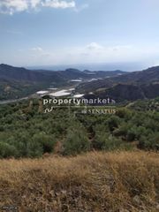Αγροτεμάχια 3.150 τ.μ. για πώληση