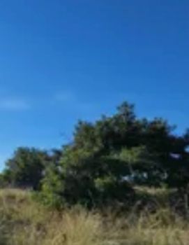Οικόπεδο 5.000τ.μ. για ενοικίαση-Κεφαλονιά » Σάμη