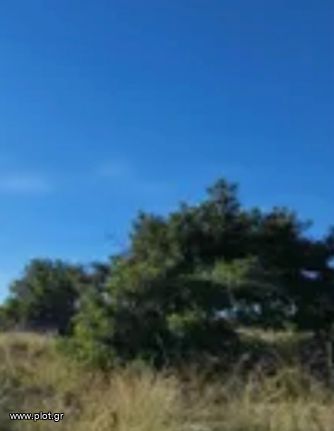 Land plot 5.000 sqm for rent, Kefallinia Prefecture, Kefalonia