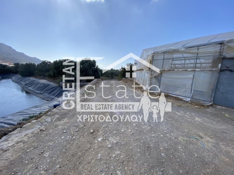 Αγροτεμάχια 17.000 τ.μ. προς πώληση, Κάτω Χωριό Ιεράπετρας