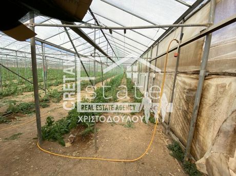 Αγροτεμάχια 17.000τ.μ. για πώληση-Ιεράπετρα » Κάτω χωριό