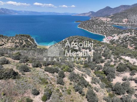 Αγροτεμάχια 5.036τ.μ. για πώληση-Τροιζήνα » Τακτικούπολη