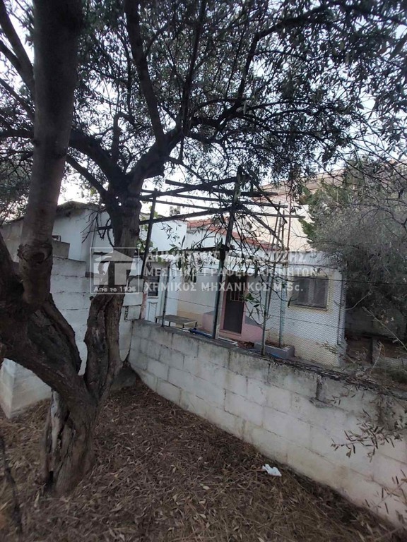 Οικόπεδο 116 τ.μ. πρός πώληση, Μαγνησία, Νέα Ιωνία Βόλου