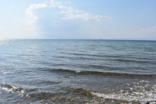 Αγροτεμάχια 8.350 τ.μ. για πώληση