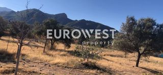 Οικόπεδο 4.000 τ.μ. προς πώληση, Άγιος Βασίλειος Ρίου-thumb-4