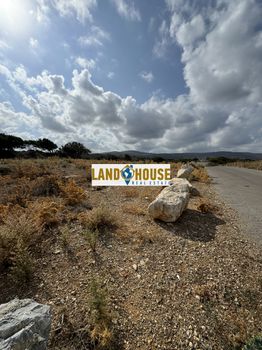 Αγροτεμάχια 4.000τ.μ. για πώληση-Νικηφόρος φωκάς