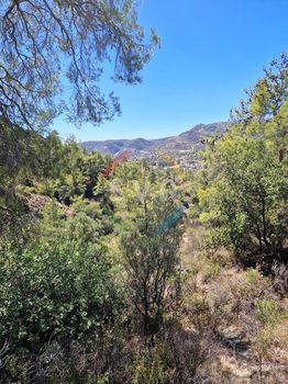 Αγροτεμάχια 2.582τ.μ. για πώληση-