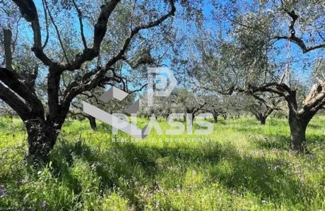 Land plot 432 sqm for sale