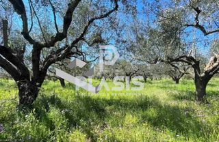 Οικόπεδο 432 τ.μ. για πώληση