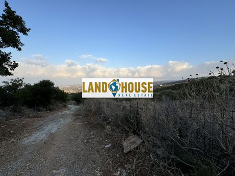 Αγροτεμάχια 5.348τ.μ. για πώληση-Νικηφόρος φωκάς