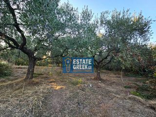Οικόπεδο 510 τ.μ. για πώληση, Ν. Καβάλας, Ελευθερές-thumb-2
