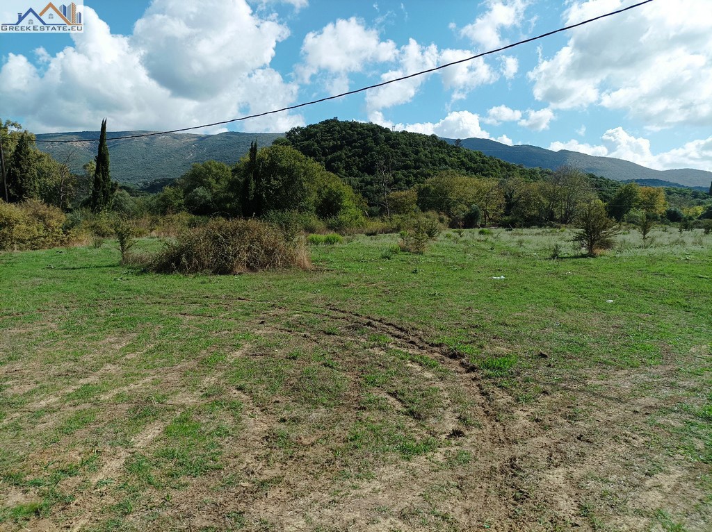 Αγροτεμάχια 23.066 τ.μ. προς πώληση, Πλαταριά